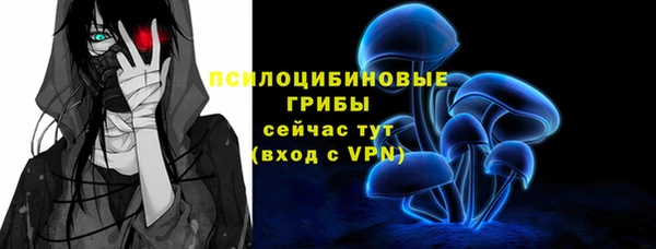 PSILOCYBIN Медвежьегорск