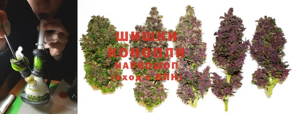 дмт Майский