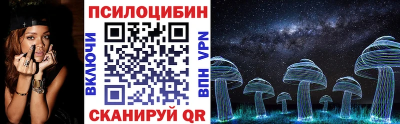 Галлюциногенные грибы Psilocybine cubensis сколько стоит Геленджик