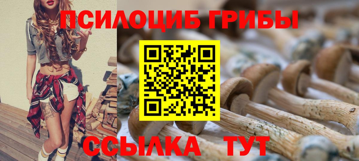 Галлюциногенные грибы Psilocybe  Вход с VPN  Псилоцибиновые грибы MAGIC MUSHROOMS  магазин  наркотиков  Геленджик 